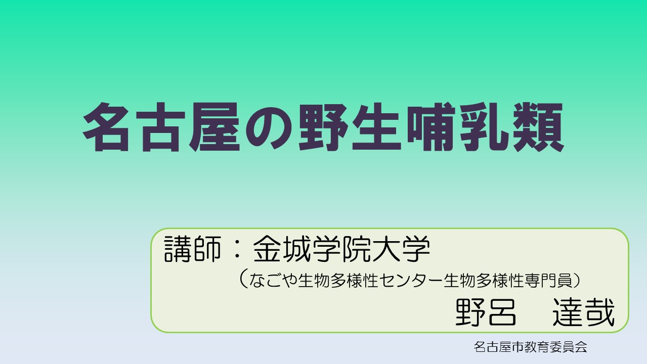 ̾ŲӮ